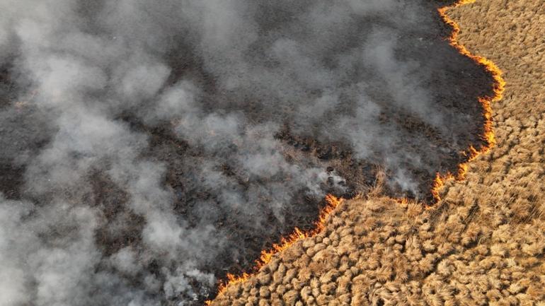 Nehil Sazlığındaki yangın söndürüldü