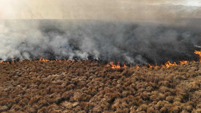Nehil Sazlığındaki yangın söndürüldü
