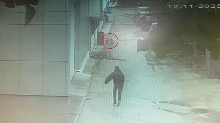 2nci kattaki evinin balkonundan düşüp ağır yaralandı