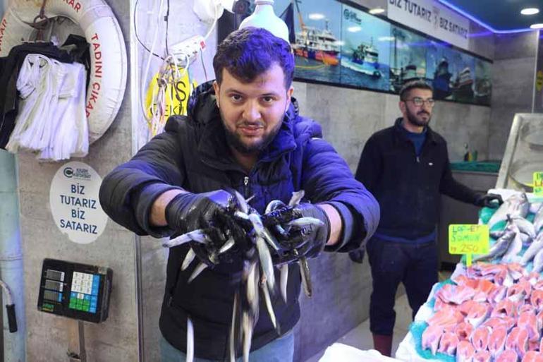 Hava soğudu, balık tezgahları hamsi ile doldu