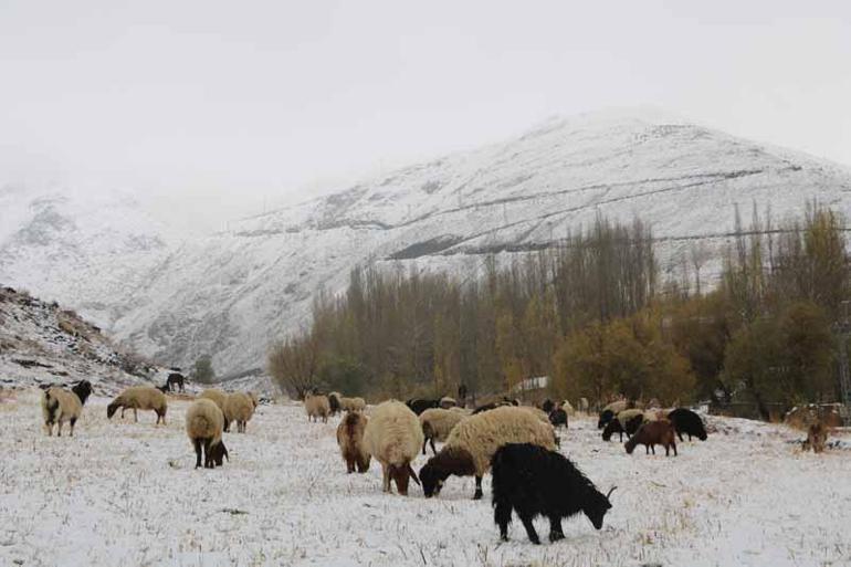 Hakkaride kar yağışı