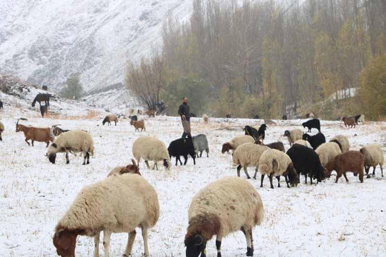 Hakkaride kar yağışı