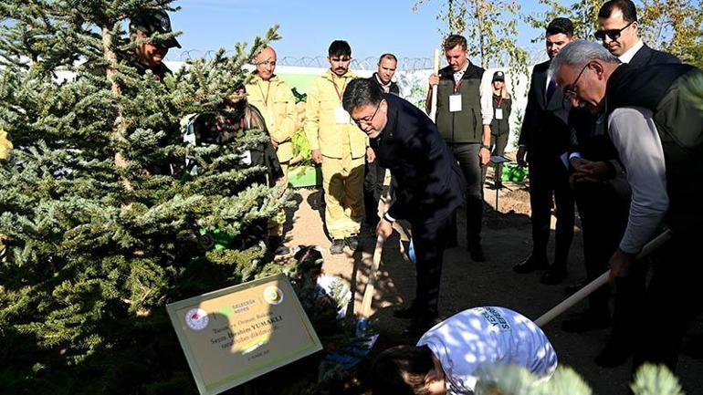 Bakan Yumaklı: 11 Kasımda 14 milyon 914 bin fidan toprakla buluştu