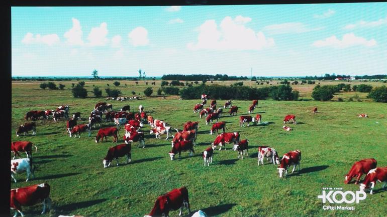 Tarım Kredi Kooperatif Marketlerinin yeni ismi KOOP Market oldu