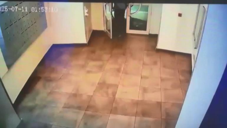 Ayşe Tokyaz cinayetinde ağırlaştırılmış müebbet hapis talebi