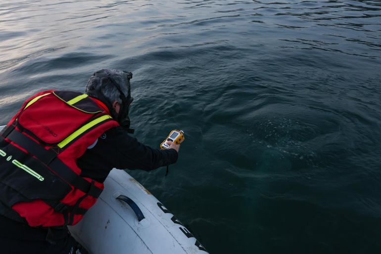 Sapanca Gölündeki kabarcıklar endişeye yol açtı; uzmanı nedenini açıkladı