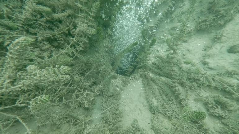 Sapanca Gölündeki kabarcıklar endişeye yol açtı; uzmanı nedenini açıkladı