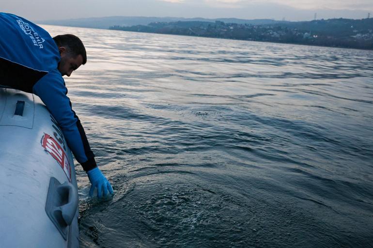 Sapanca Gölündeki kabarcıklar endişeye yol açtı; uzmanı nedenini açıkladı