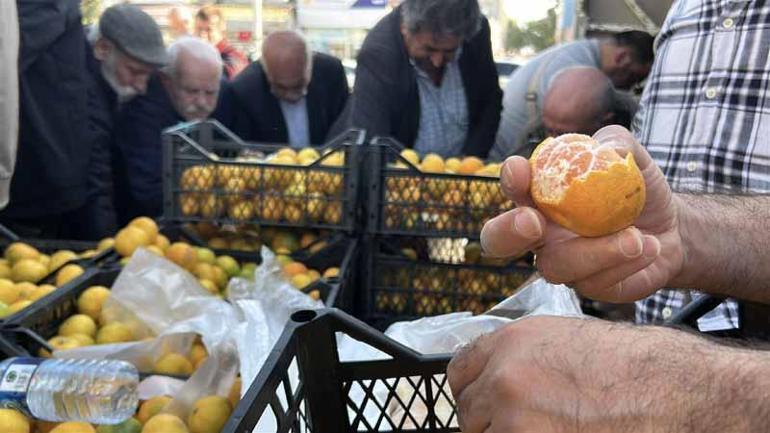Hatayda üreticiler, alıcı çıkmayan tonlarca mandalinayı ücretsiz dağıttı
