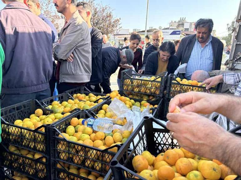 Hatayda üreticiler, alıcı çıkmayan tonlarca mandalinayı ücretsiz dağıttı