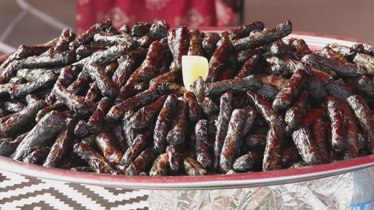 14’üncü Ordu Tanıtım Günlerine yoğun ilgi