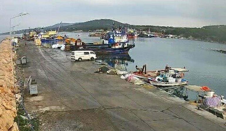 Didimde kamyonetin denize uçtuğu anların görüntüleri ortaya çıktı