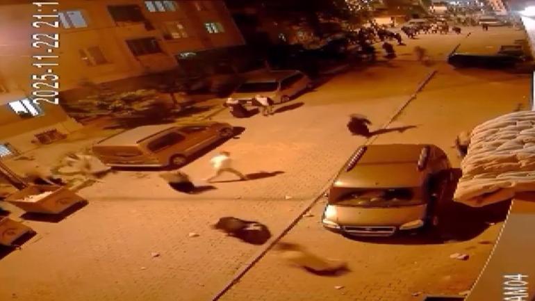 Arnavutköyde mahalledeki taşlı sopalı kavga kamerada