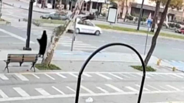 Otomobilin çarptığı yaya ağır yaralandı; kaza kamerada