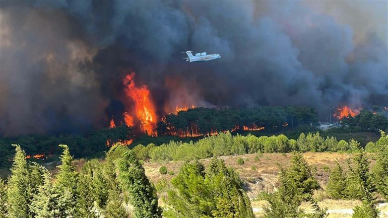 Çanakkale’de yanan alanların yeniden rehabilitasyonu için çalıştay