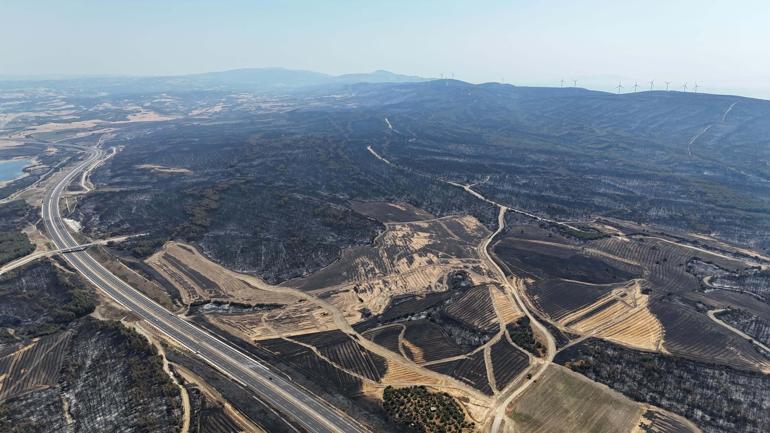 Çanakkale’de yanan alanların yeniden rehabilitasyonu için çalıştay