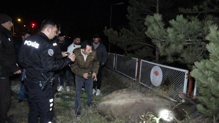 Erzurum’da otomobil ile hayvan yüklü kamyonet çarpıştı: 1 ölü, 2 yaralı