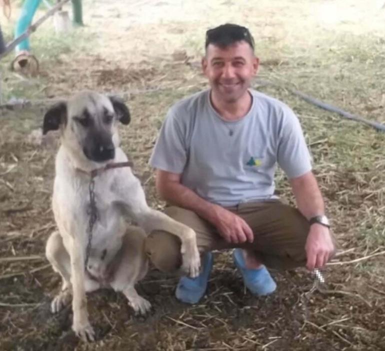 Arkadaşını öldüren sanık: Dengemi kaybedip, düşünce tüfek ateş aldı