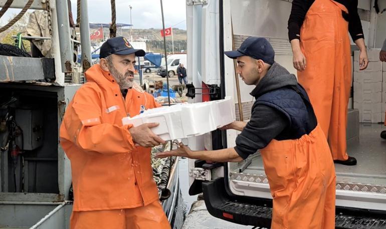 Marmarada lodos dindi; Tekirdağlı balıkçılar, 600 kasa balık avladı