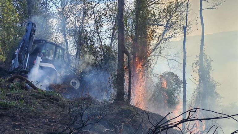 Artvin’de örtü yangını ormana yayıldı