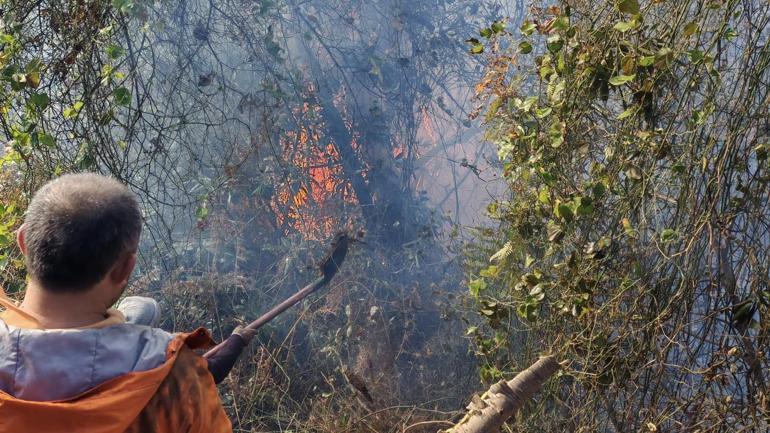 Artvin’de örtü yangını ormana yayıldı