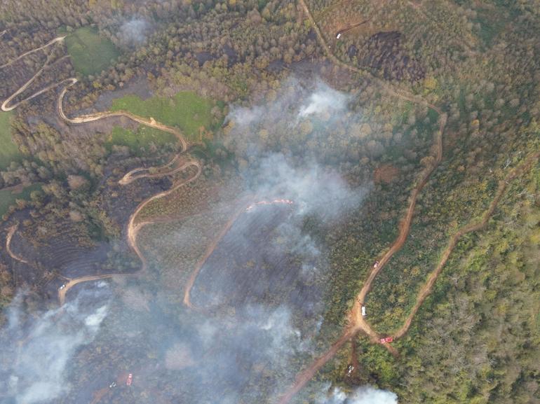 Artvin’de örtü yangını ormana yayıldı