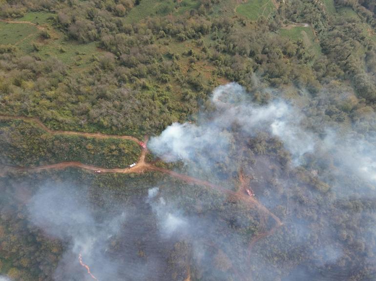 Artvin’de örtü yangını ormana yayıldı