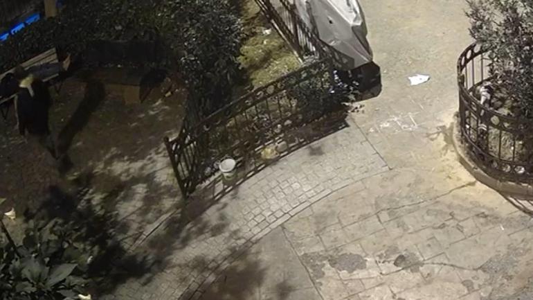 Beyoğlunda bankta uyuyan adamın cep telefonunu gasp eden şüpheli kamerada