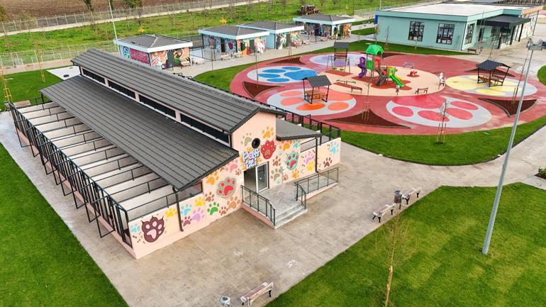 Sakarya’da Sokak Hayvanları Doğal Yaşam Kampüsü açıldı