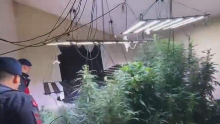 Arnavutköyde 580 gündür aranan şüpheli evinde uyuşturucu madde yetiştirirken yakalandı