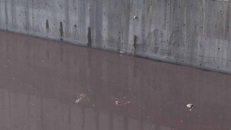 Haramiderenin rengi kırmızıya döndü; mahalleli tepki gösterdi