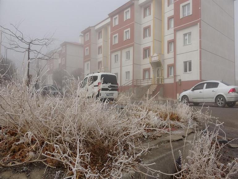 Bitlis’te sis etkili oldu