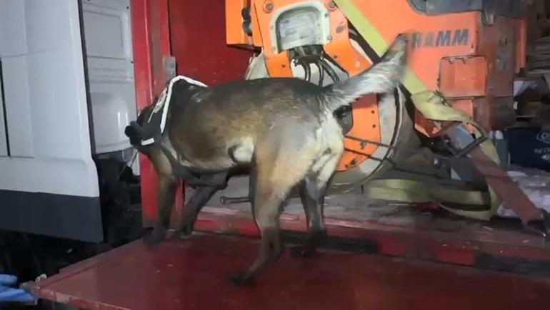 TIRa yüklü asfalt silindir makinesine gizlenmiş 102 kilo metamfetamin ele geçirildi