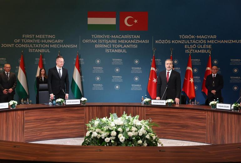 Türkiye-Macaristan Ortak İstişare Mekanizması Birinci Toplantısı İstanbulda başladı