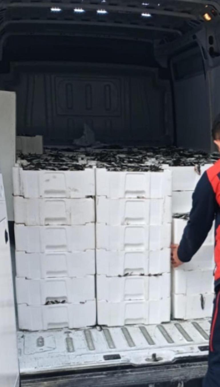 Kırklarelide el konulan 3 ton istavrit ihtiyaç sahiplerine dağıtılacak