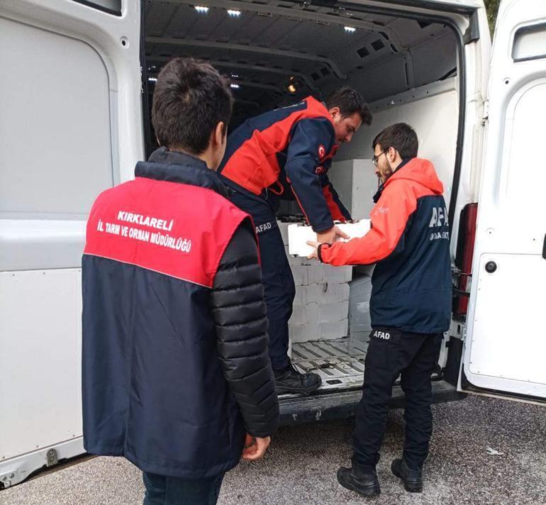 Kırklarelide el konulan 3 ton istavrit ihtiyaç sahiplerine dağıtılacak