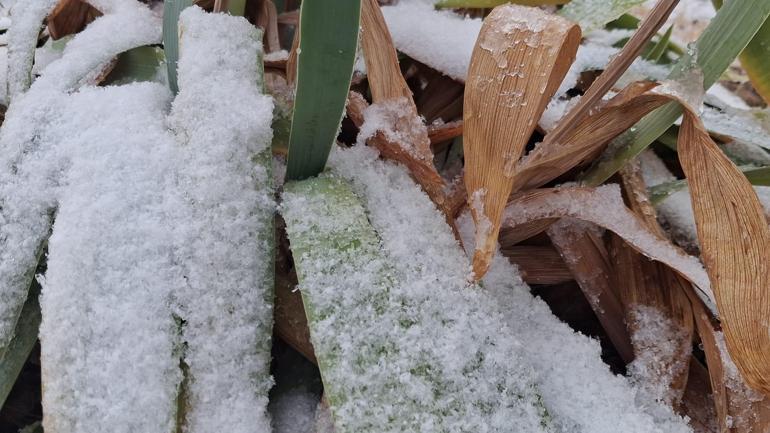 Vanda yüksek kesimlere kar yağdı