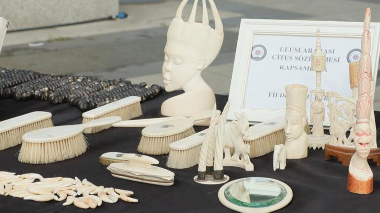 İstanbulda tarihi eser operasyonunda ele geçirilenler sergilendi