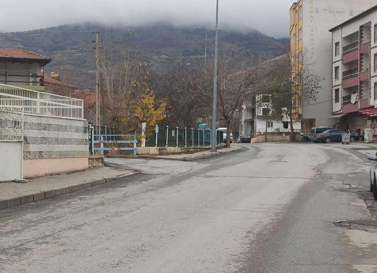 Otomobil kediye çarptı, bir başka kedi başında bekledi ;o anlar kamerada