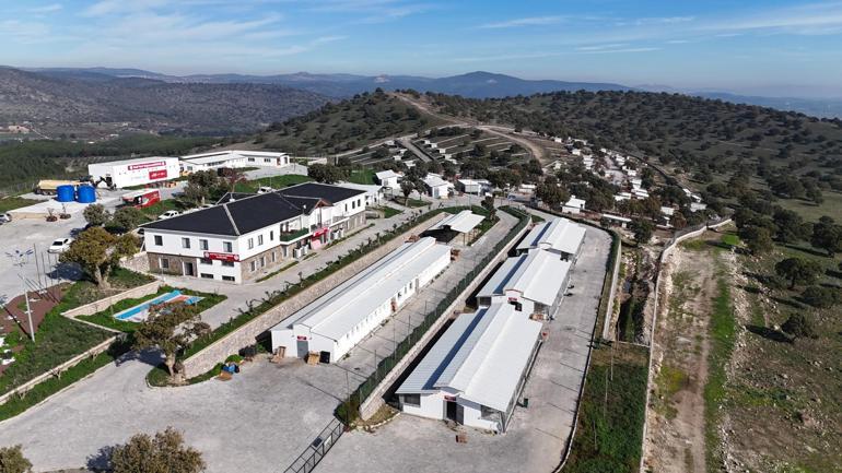 Sahiplendiği 2 köpeği sokağa terk eden kadına 172 bin 716 TL ceza