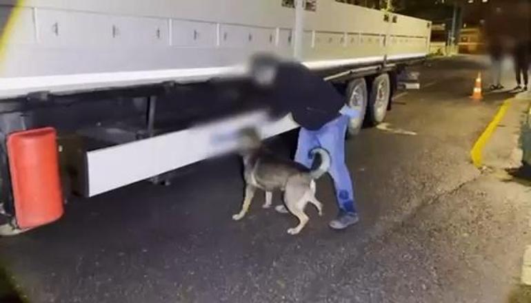 Şehit polis adına düzenlenen operasyonda 37 kilo uyuşturucu ele geçirildi