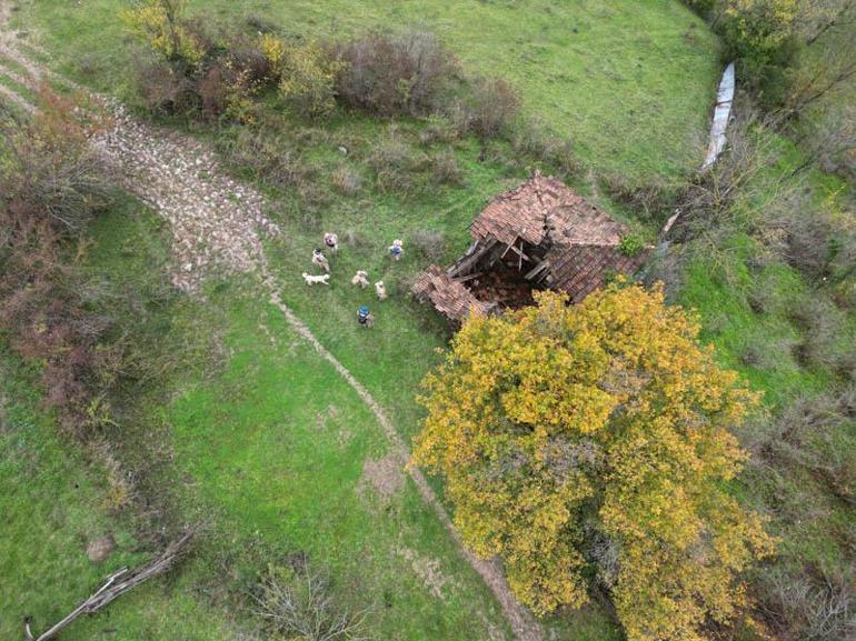 Kayıp kadın ölü bulundu
