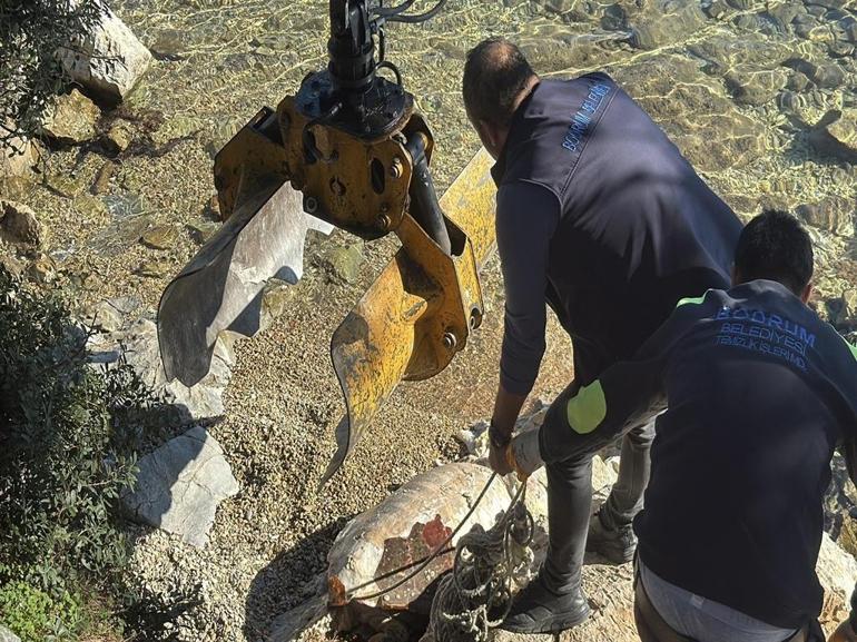 Bodrumda ölü caretta caretta kıyıya vurdu