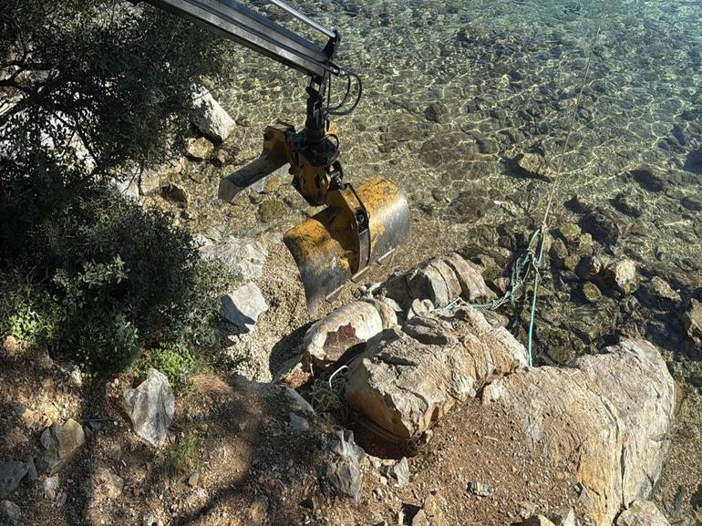 Bodrumda ölü caretta caretta kıyıya vurdu