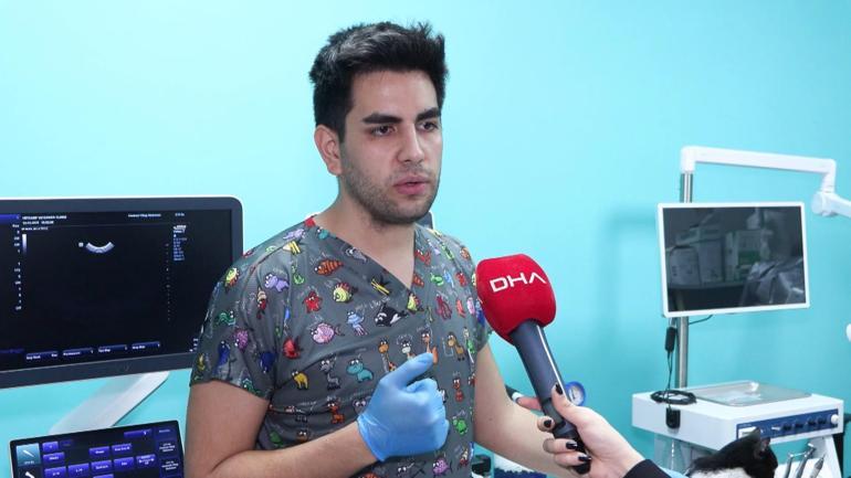 Evcil hayvanlara çip taktırmak için son gün 31 Aralık