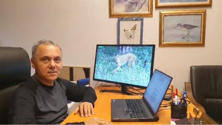 Prof. Dr. Sözen: Ağaçtaki Anadolu Parsı değil, vaşak