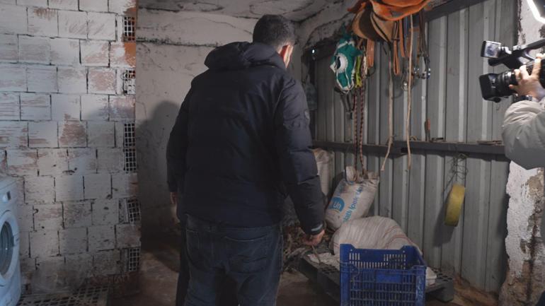 Ataşehirde kaçak at kesimi iddiası: 2 şüpheli gözaltına alındı