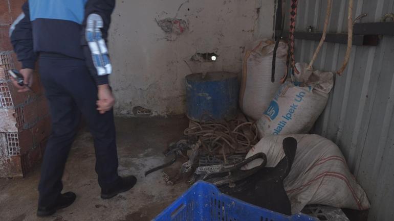 Ataşehirde kaçak at kesimi iddiası: 2 şüpheli gözaltına alındı