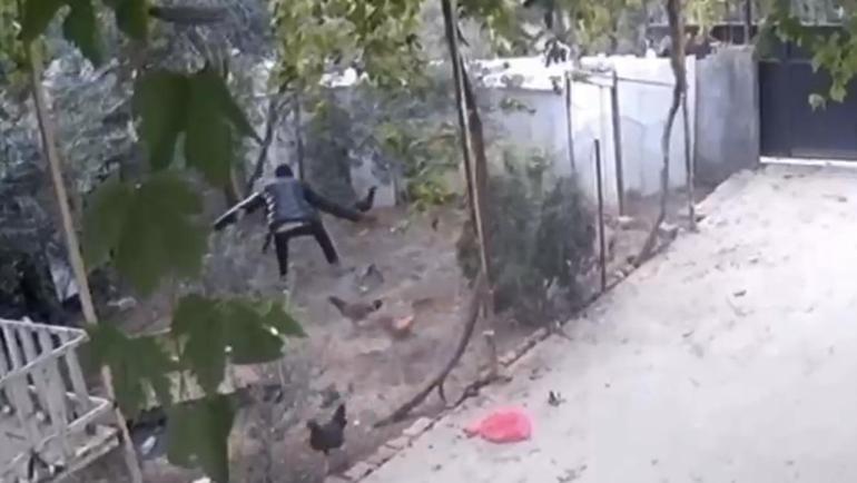 Osmaniye’de kümeslerden tavuk çalan şüpheli tutuklandı; hırsızlık anı kamerada