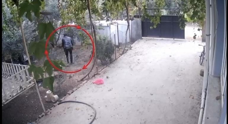 Osmaniye’de kümeslerden tavuk çalan şüpheli tutuklandı; hırsızlık anı kamerada